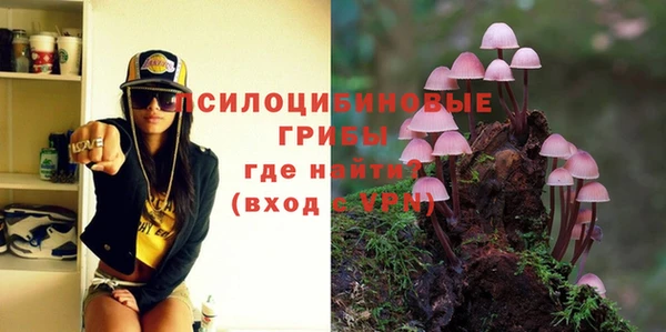 хмурый Алексеевка