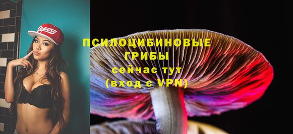 хмурый Алексеевка