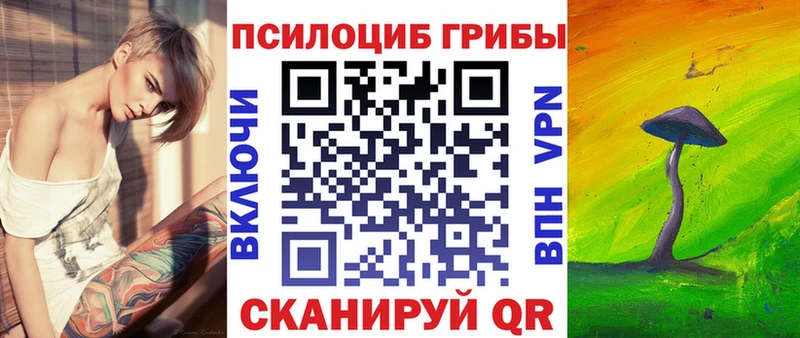 Галлюциногенные грибы GOLDEN TEACHER  купить   Кочубеевское 